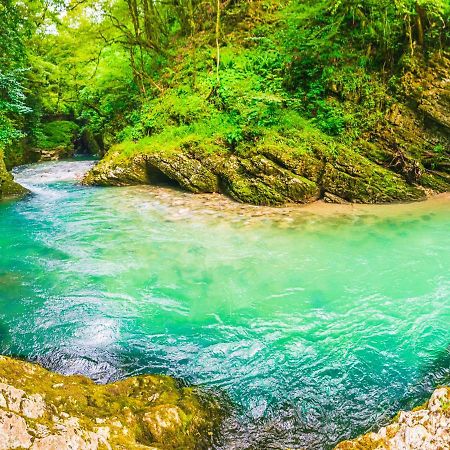 Vila Hanovi Zabljak Ngoại thất bức ảnh