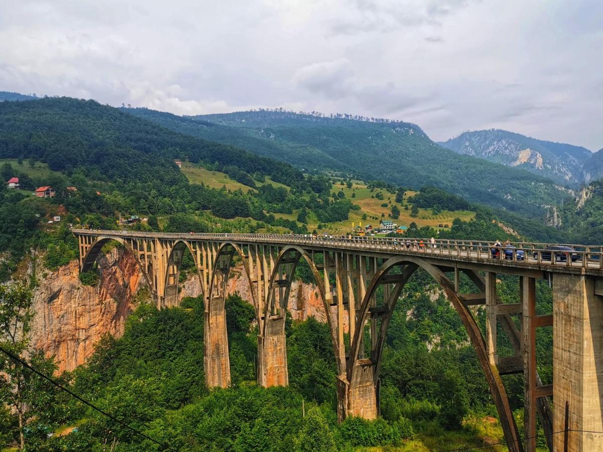 Vila Hanovi Zabljak Ngoại thất bức ảnh
